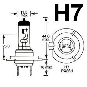 h7 len 80 watt h7 p 230 re philips rally 80 watt 1 stk h7 p 230 rer h7 len 80 watt h7 p 230 re philips rally 80 watt 1 stk h7 p 230 rer